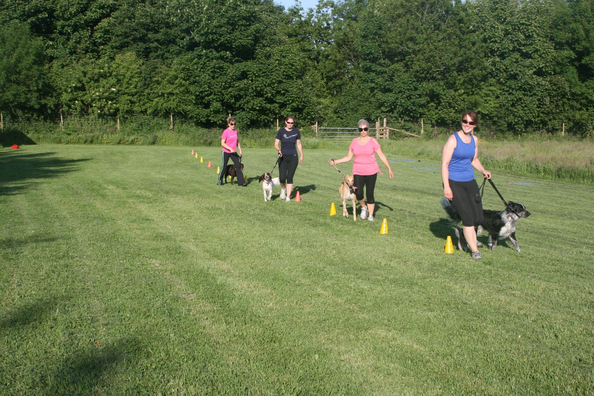 Dog training events in and around Launceston